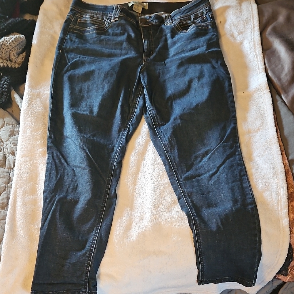 Democracy Dark Blue Ankle Jeans